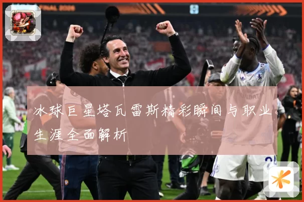 冰球巨星塔瓦雷斯精彩瞬间与职业生涯全面解析