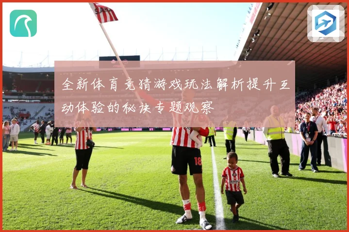 全新体育竞猜游戏玩法解析提升互动体验的秘诀专题观察