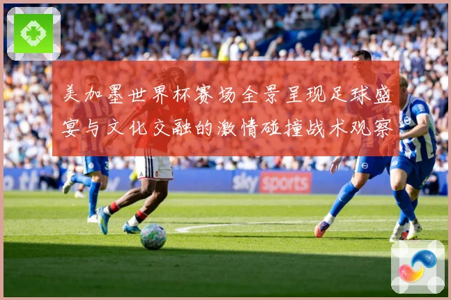 美加墨世界杯赛场全景呈现足球盛宴与文化交融的激情碰撞战术观察